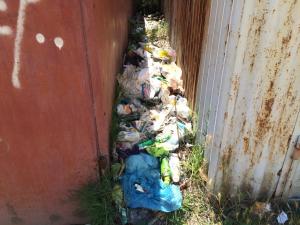 ул. Репина, 10 (2)