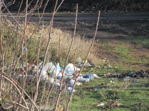 67a85bca9cf2f3032296590cde6c6c3b