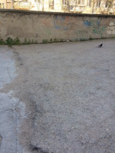 gogolya26a-svalkinet