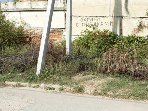 ae1b815a22640fe21b31e129926f42e5