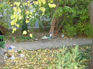 bd70b3bf64ff238590eecd5abe5c8a00