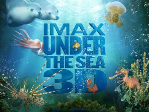 Under_the_Sea_3D_Wallpaper_1_800