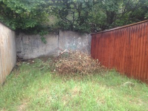 просп. Ген. Острякова, 227
