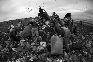 A group of 'catadores' (scavengers) dig