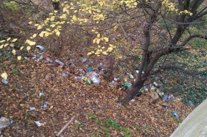 fc523bf2e32e38074442a7bc84306f6e