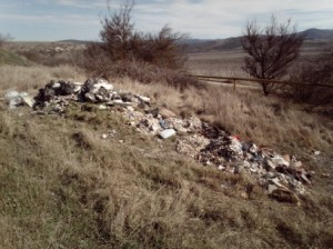 8e4bf257eb36d6ad9587d6ad79d37362