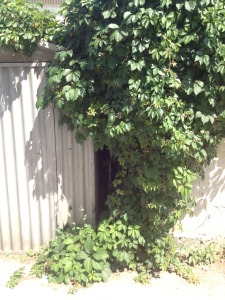 ул. Терещенко, 12