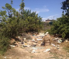 e2a0b244c01a4c88207f71b801b68a1c