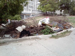 e44fbc474786079c8ca4cc0fffea962f