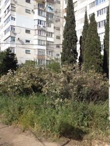 ул. Корчагина, 52