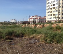 просп. Античный, 52
