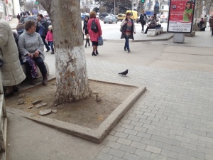 пл. Лазарева