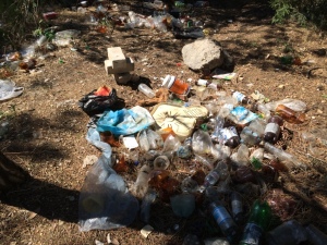 ул. Симонка(лес)