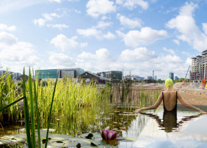 Of-Soil-and-Water-by-Ooze-Architects_dezeen_784_5