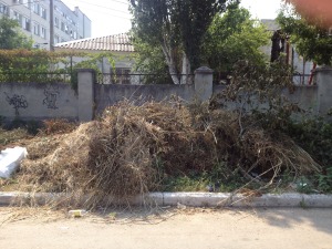 ул. Мира, 14