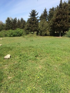 privhode-v-parkpobedysvalkinet