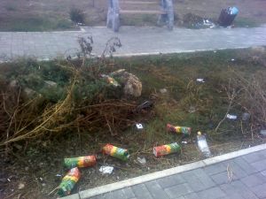 a72d073e73a62a7b89cedc6658dcc9ed