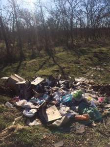 kamyshovoe-shosse-15