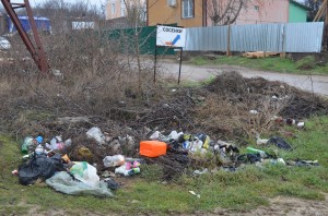 fiolentstsosenkki