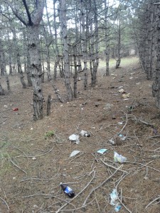 kamysh-shosse_ovoshhebaza