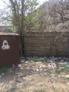 biryuzova7garazhi