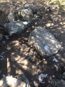 park-pobedy-cherez-dorogu-ot-parkovoj-12k1