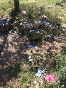 park-pobedy-cherez-dorogu-ot-parkovoj-12k1-s